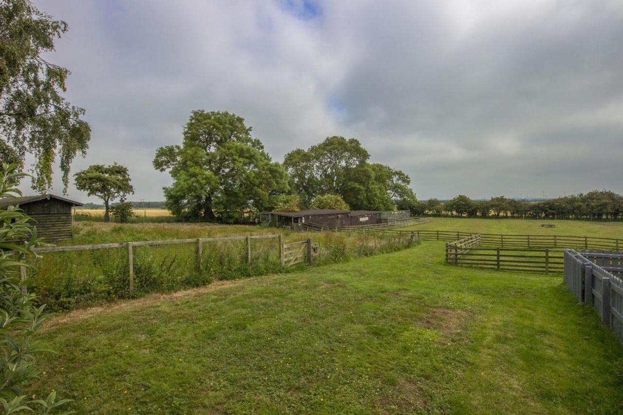 Stunning Barn Conversion Next To Horse Field Sleeps 10 Villa Morpeth Exterior foto