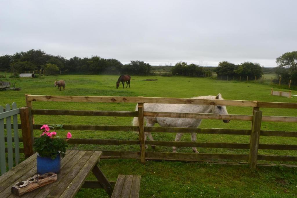 Stunning Barn Conversion Next To Horse Field Sleeps 10 Villa Morpeth Exterior foto